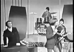 The Seeds - Can't Seem to Make You Mine (1965)
