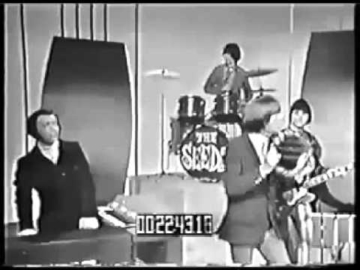 The Seeds - Can't Seem to Make You Mine (1965)