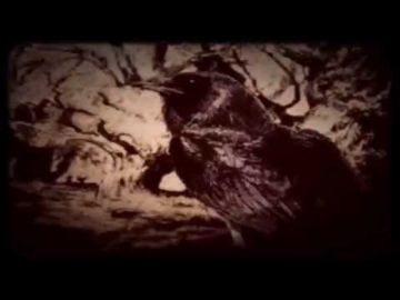 The Coral - The Curse Of Love